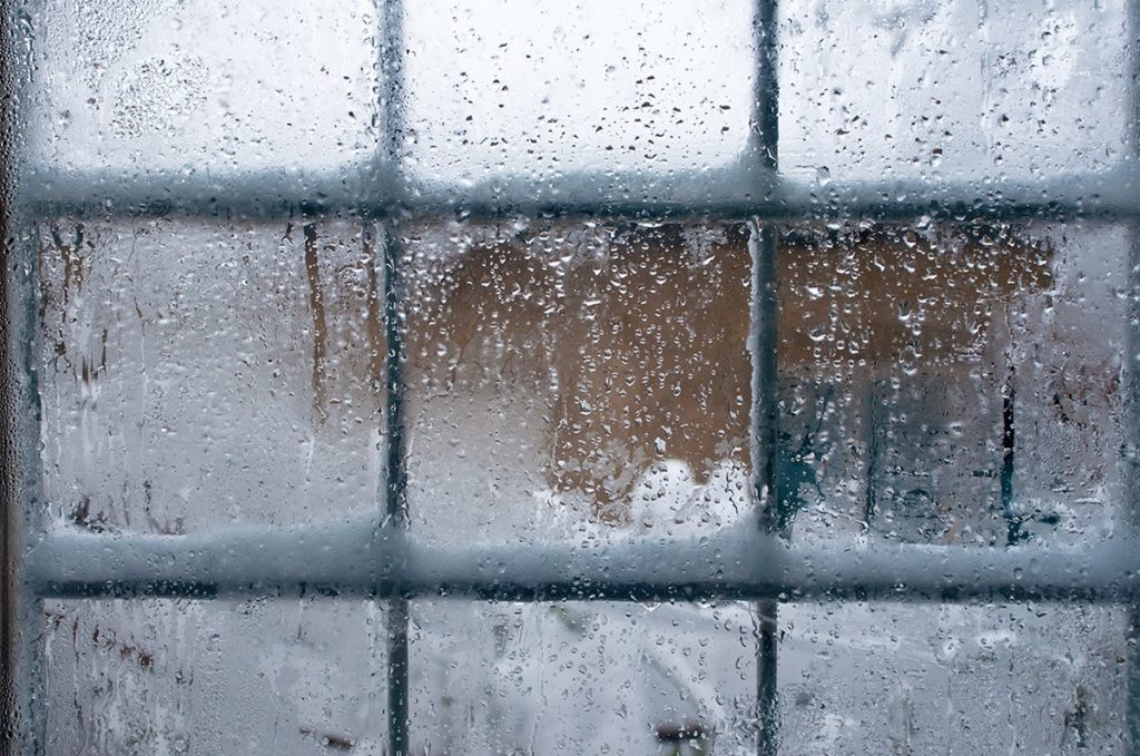 Window With Snow and Water on it